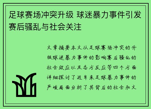 足球赛场冲突升级 球迷暴力事件引发赛后骚乱与社会关注